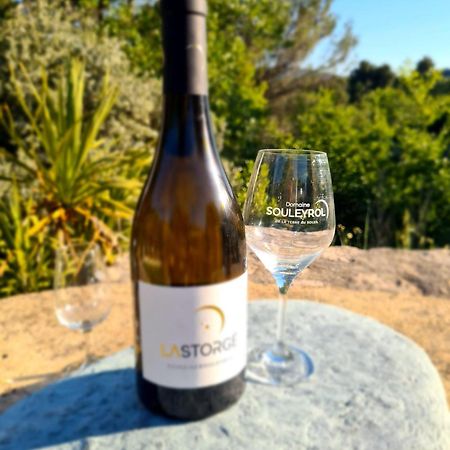 Malemort-du-Comtat Entre Ventoux Et Luberon, Appartement Dans Maison. מראה חיצוני תמונה
