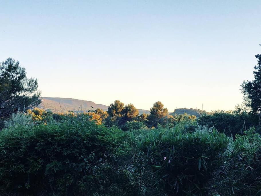 Malemort-du-Comtat Entre Ventoux Et Luberon, Appartement Dans Maison. מראה חיצוני תמונה